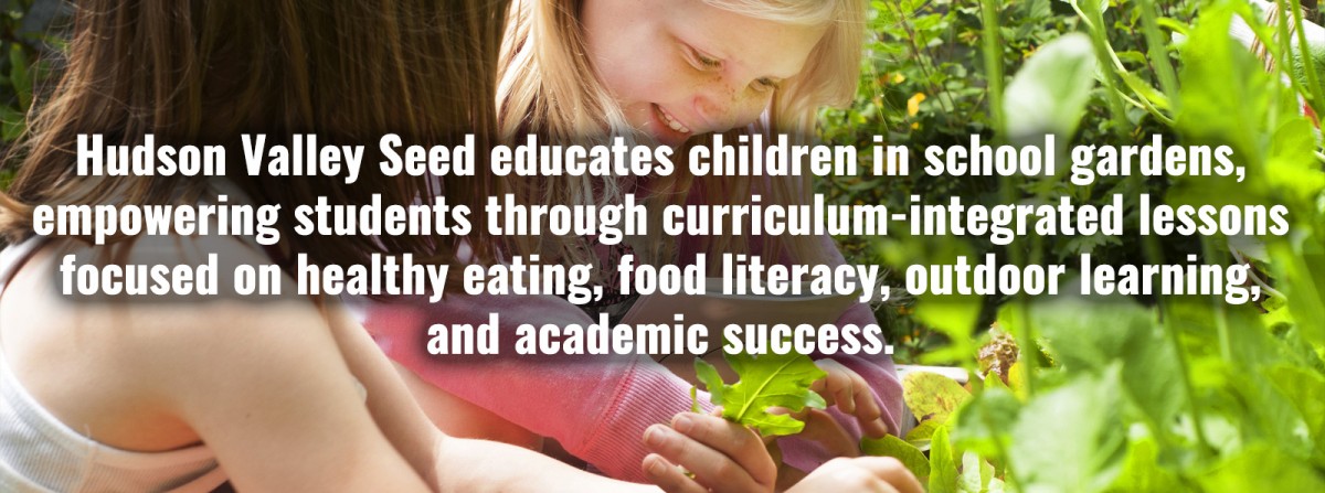 Hudson Valley Seed educates children in school gardens, empowering students through curriculum-integrated lessons focused on healthy eating, food literacy, outdoor learning, and academic success.