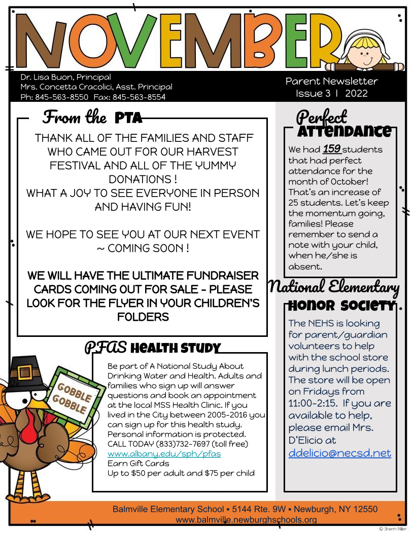 Balmville School | November Newsletter- News - NECSD