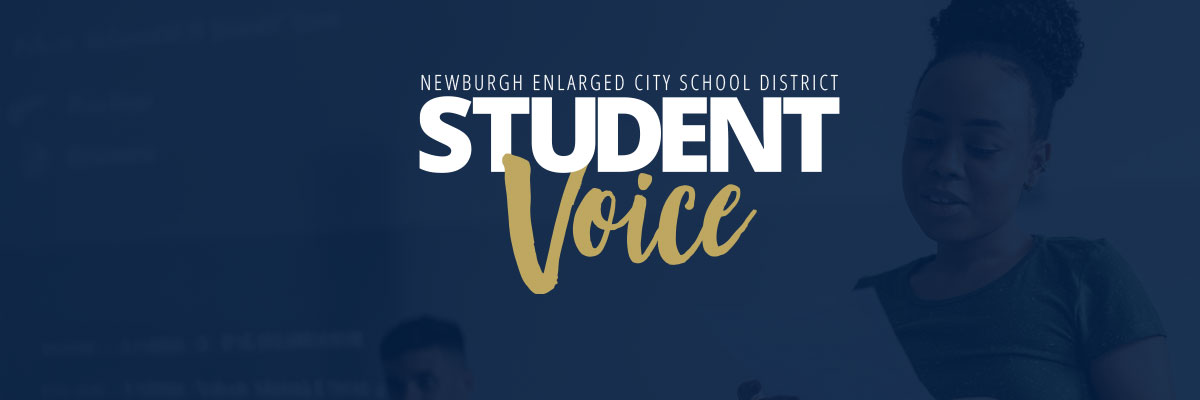 Student Voice